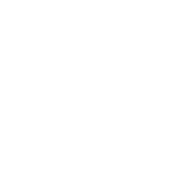 lorry special icon1